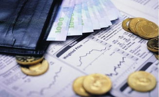 TUSD币的投资风险和回报如何？