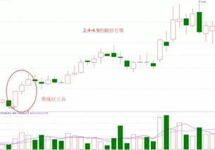 股市之路：交易心得、K线解析与入市准备