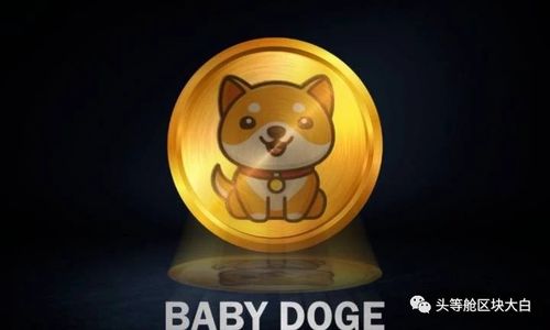 babydoge币可长期持有吗