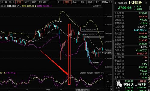 科学止损与水母量化实操指南