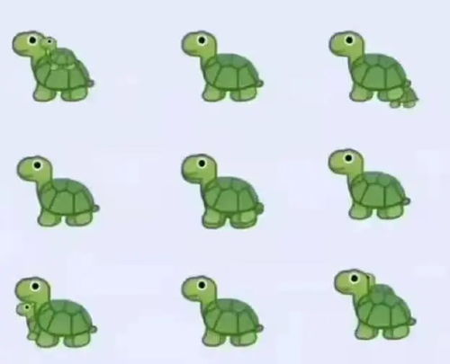 心理测试 图片中有几只乌龟,测你的领悟力如何