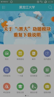 i黑大app