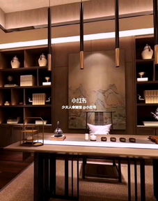 新中式室内石榴福利视频
设计 客厅和书房