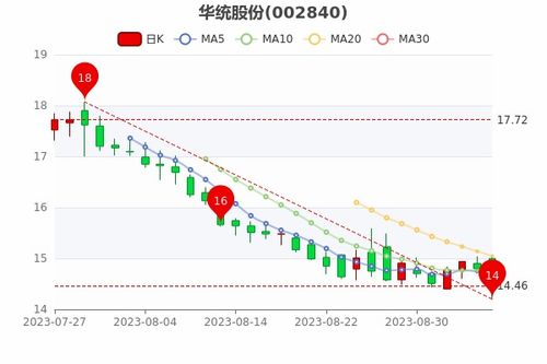 新澳股份行情解析与异动观察