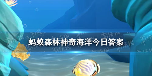 以下哪种海洋动物能在海面上短暂飞行,支付宝神奇海洋今日答案最新2024.12.12