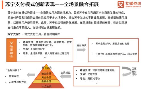 DAI币的日常用途和支付场景有哪些？