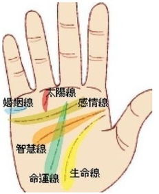 手上的掌纹分别代表什么
