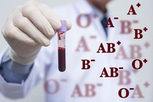 O型血和A型血生出B型血宝宝太罕见,梅花视频免費
般情况啥样