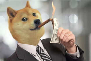 新秀DOGE20：重塑狗狗币品牌的潜力与特色分析