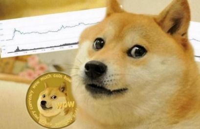 模因币热潮：Dogecoin与Shiba Inu的竞争及市场影响