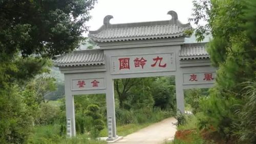 什么样的祖坟风水才能庇荫后代,你必须要知道 