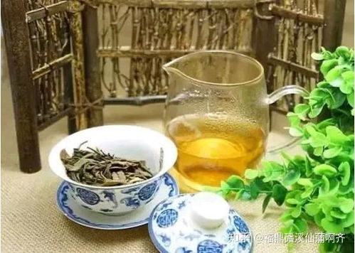 福鼎白茶配什么茶器具