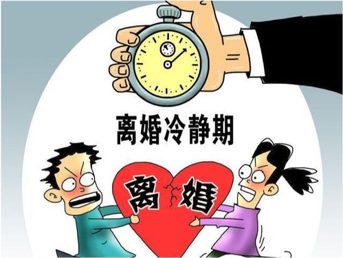 颁布 离婚冷静期现在生效,民政局爆满,扯下婚姻遮羞布