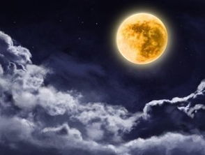 描写月亮的诗句有哪些，关于月亮的古诗有哪些