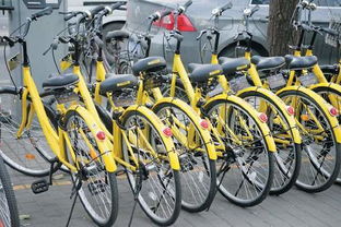 媒体调查多地公共自行车租借 有城市丢失近半