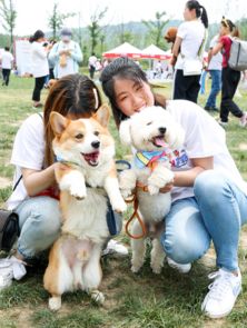 带着狗宝跑南京,红狗杯2019DOGRUN彩跑起航