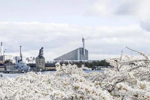 安徒生计划 是什么 丹麦是不是一个适合适合留学的国家 人文环境怎么样