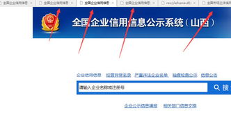 企业信用信息公示系统出资方式为什么是"；undefined