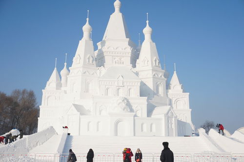 冬天适合去哈尔滨旅游吗 (冬天适合去哈尔滨旅游吗)