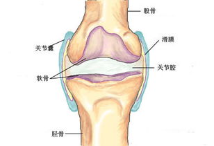 膝关节少量积液怎样治疗