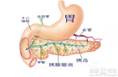 怎么检查是不是得了胰腺炎