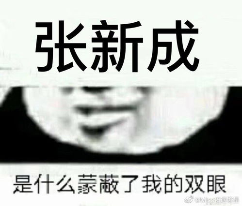 本哥表情包,需要自取喜欢张新成我们就是 堆糖,美图壁纸兴趣社区 