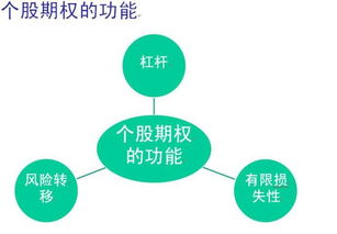 个股期权期权费手续费标准是什么