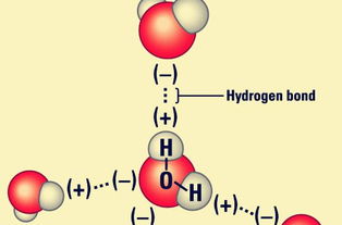 什么是氢键-图1