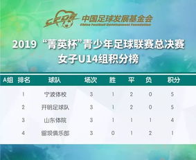 2019年中国足球基金会 菁英杯 青少年足球联赛总决赛小组赛积分榜 分为男女U12 U13 U14,共六个组别 