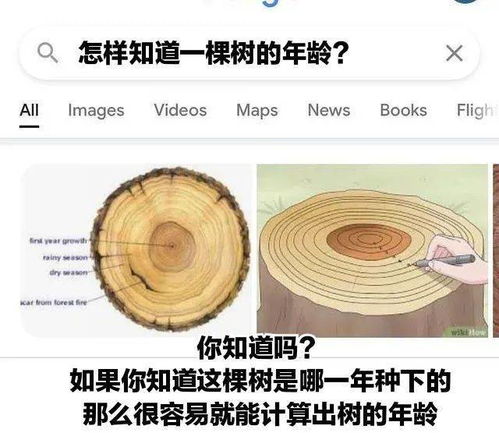 有哪些不为人知的冷知识 你搁这搁这呢