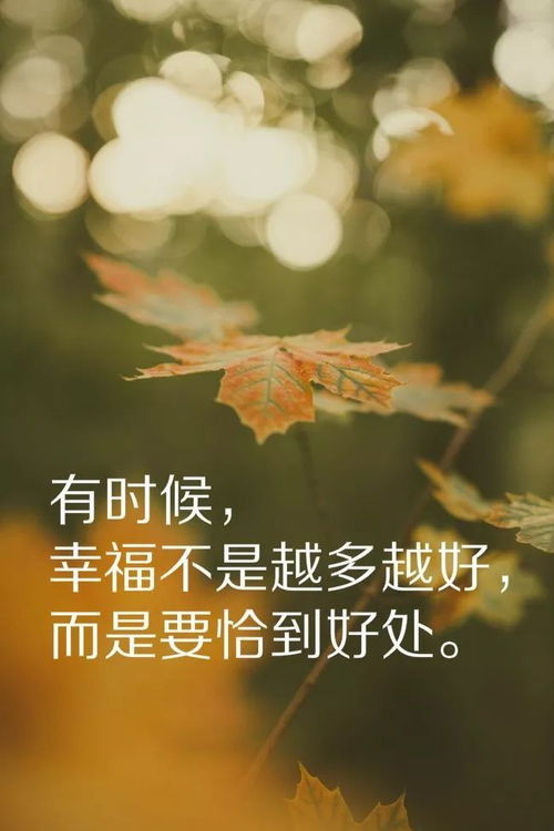 真正爱过的人,是做不了朋友的