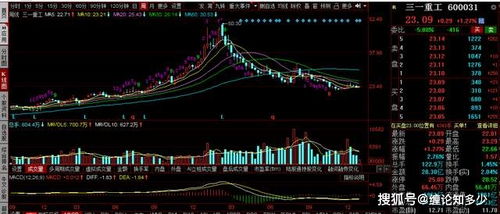 大盘今天跌这么多三一重工为什么表现这么好？是接下来还会拉升吗？