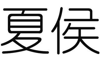 2019猪年夏侯姓男宝宝取名