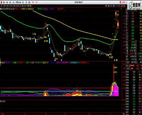 通达信公式 下载列表 精品通达信 大智慧 同花顺 飞狐股票公式 常用股票软件下载 奇爱股票网 