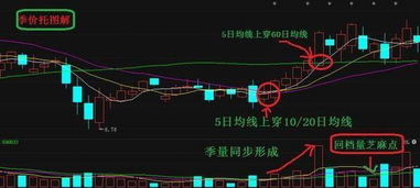 股市中的新手应该如何选股？