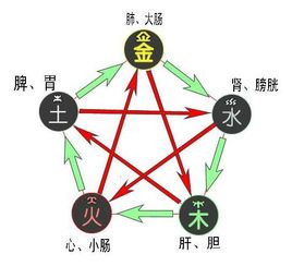 碎片化学习是骗局 那是你没有掌握结构化思维方式 下 