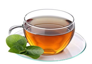 脂肪肝喝什么茶,脂肪肝喝什么茶有效,脂肪肝茶疗