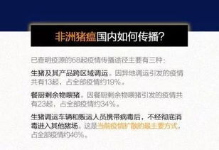 探索合法渠道，揭秘可信赖的免税香烟在线购买平台 - 2 - 635香烟网