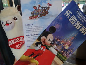 上海迪士尼美食攻略排名餐厅及周边美食 上海迪士尼小镇美食住宿攻略 3