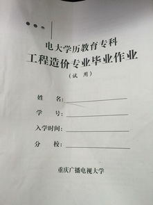 本科毕业论文作业成本