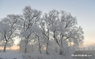 赏雪避寒 冬天旅游去哪里好 冬季旅游景点推荐