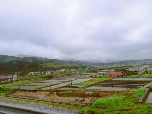 五一湖南长沙旅游最佳去处