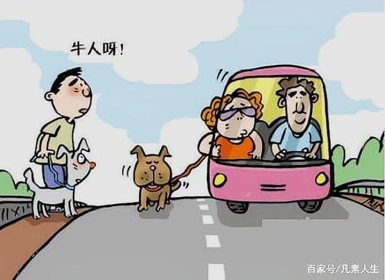 遛狗遛到马路上 女子开车遛狗,影响交通行驶,让群众很不满