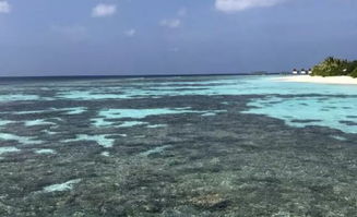 蜜月去马尔代夫怎么选最适合的岛屿