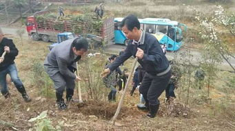 郴州市旅游外事侨务局 市侨联赴五盖山国际狩猎场开展植树活动 