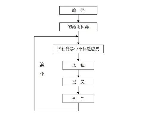 遗传算法 一 遗传算法的基本原理