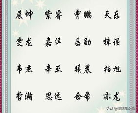 2019猪年宝宝起名响亮好听 简单大气的名字,给你做最好的参考 