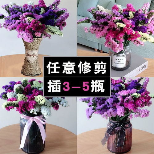 云南勿忘我满天星干花真花花束家居客厅装饰摆设鲜花真花花束批发