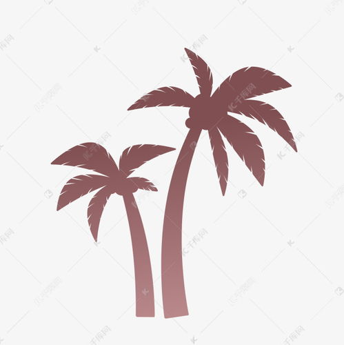 椰子树的资料，关于椰子树的资料