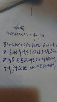 高中生物 通过测交可以推测被测个体产生配子的种类和比例 这句话啥意思求解释 